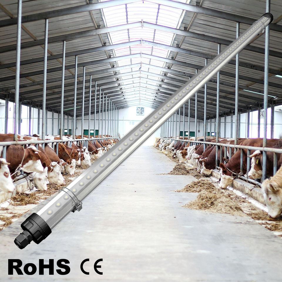 product-770-770 cow house lighting