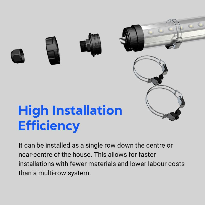 product-800-800 detail