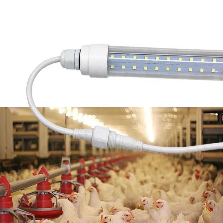 led poultry light 2 led poultry light 2