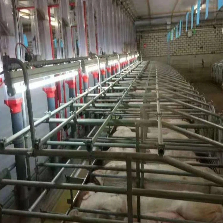 360 led poultry light 5 360 led poultry light 5