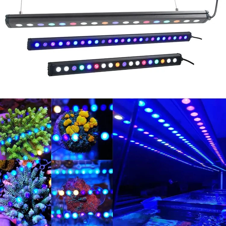 IP65 Waterproof Led Aquarium Lighting 1 IP65 Waterproof Led Aquarium Lighting 1