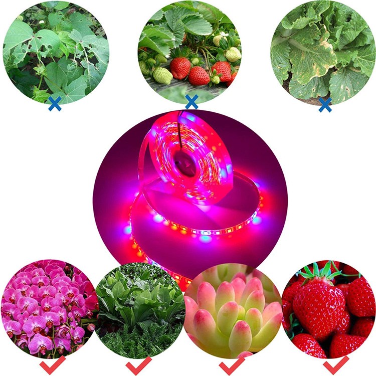 Led Plant Grow Strip Light 3 Led Plant Grow Strip Light 3