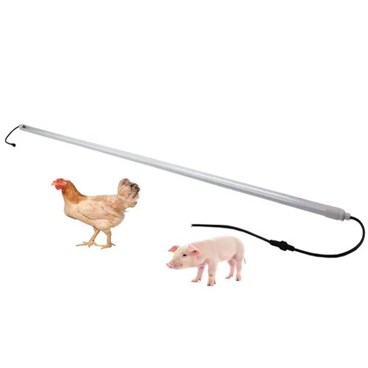 Dimmer Poultry LED Light For Chicken Farm