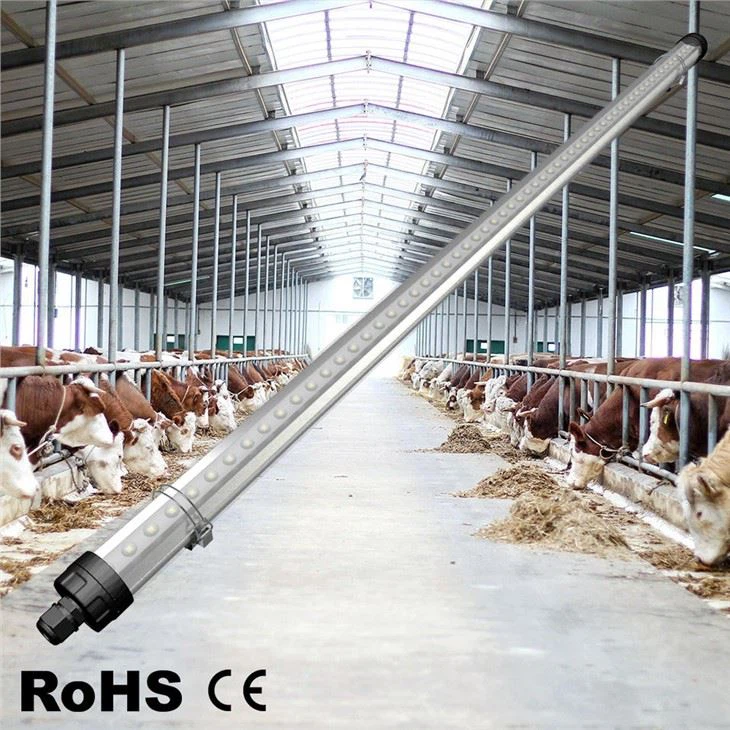 Industrial Barn Lighting