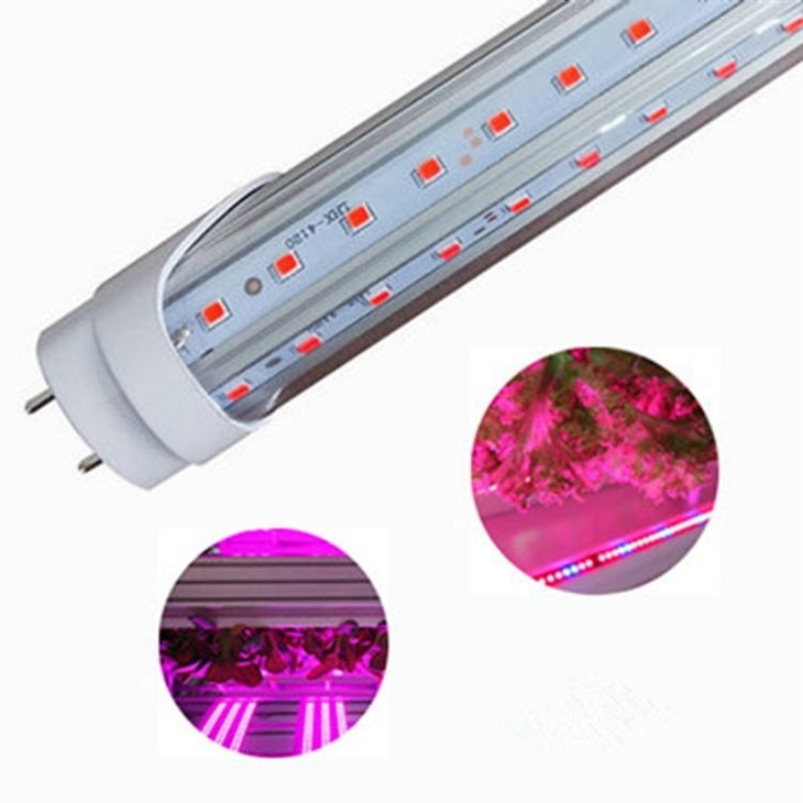 grow lights for vegetables
