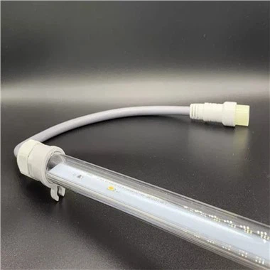 עוף אור לחורף