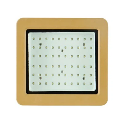 הוכחת פיצוץ אור הצפה