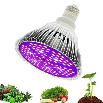 מנורת Led Grow עם ספקטרום מלא