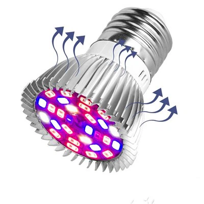 נורות לד לגידול לצמחים