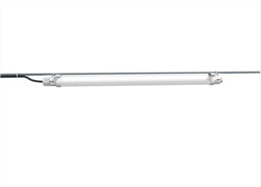 אורות סולאריים ללול תרנגולות