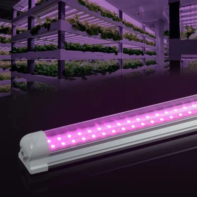 T8 Grow Lights 48 אינץ'