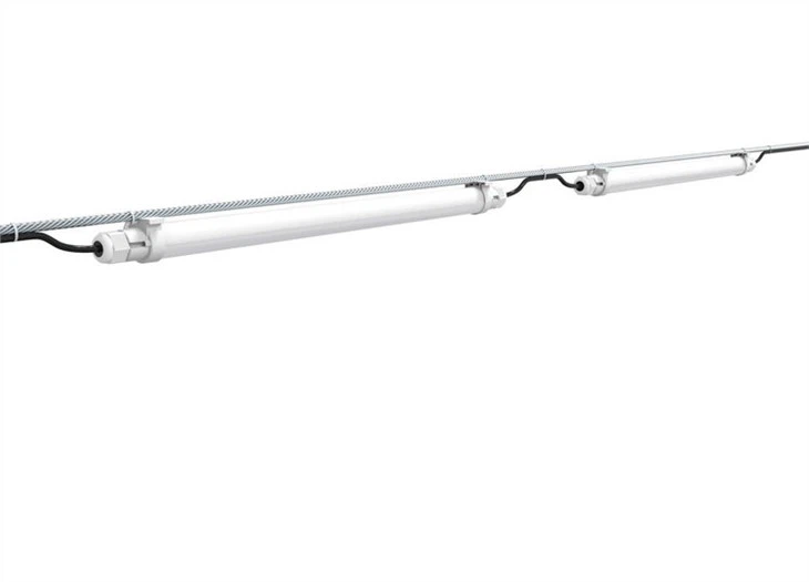 best light for chicken coop -