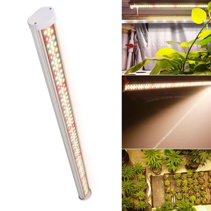 Using Grow Lights For Indoor Plants