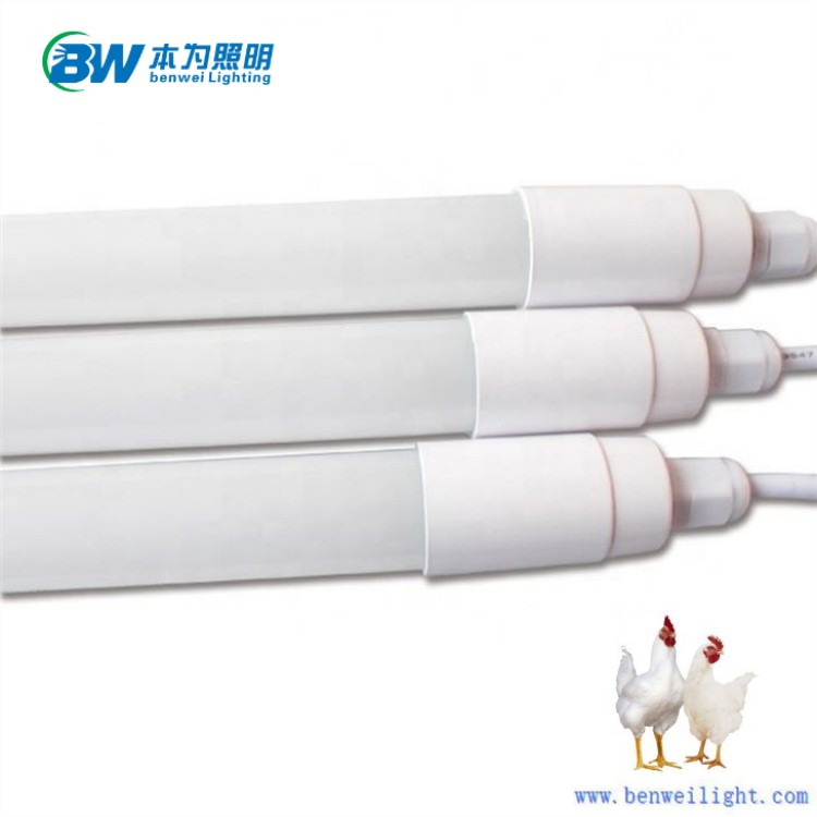 0-12V Dimmable 3900K 12W Chicken Light
