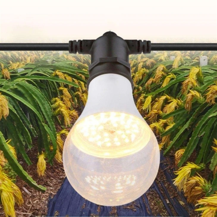 15w Full Spectrum Pitahaya LED Plant Light suppliers