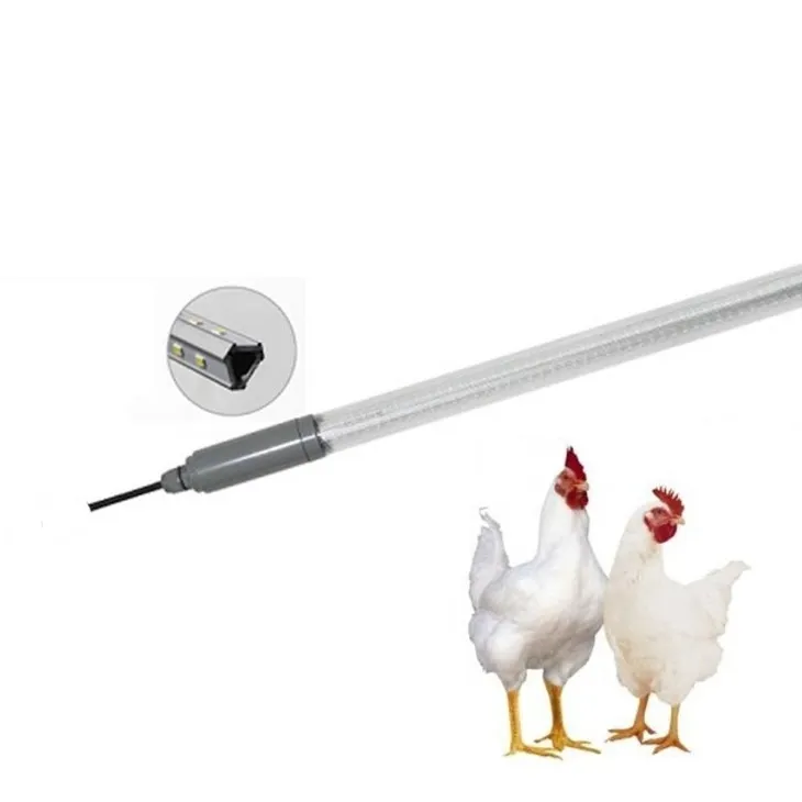 chicken coop lamp
