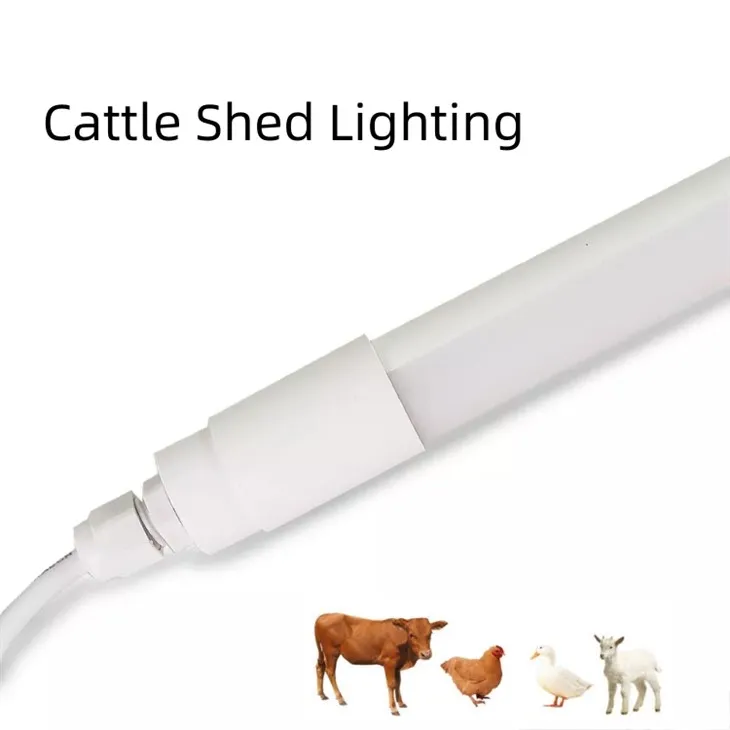 18w LED Light For Chicken