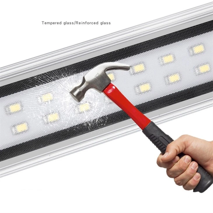 24V/220V Waterproof Oil-proof Explosion-proof Lamp