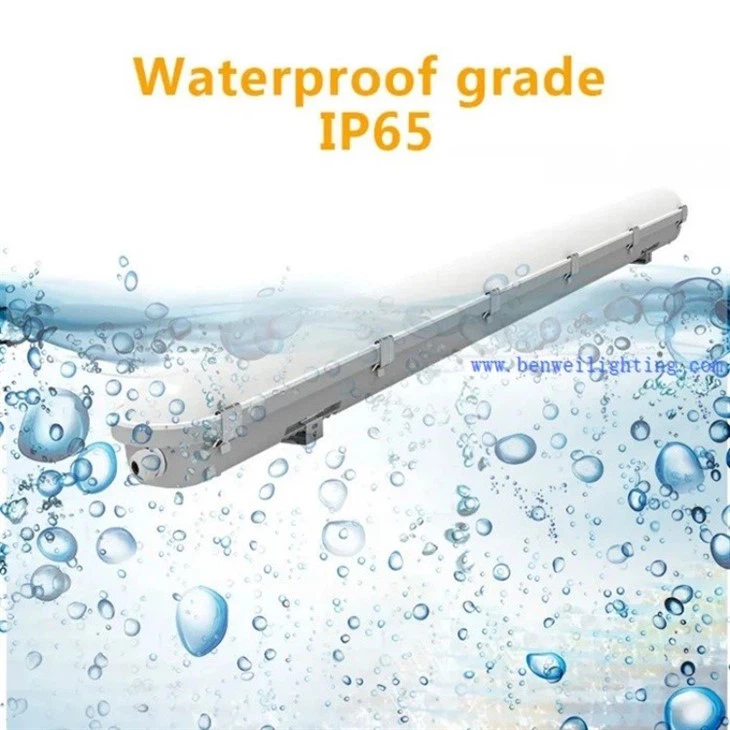60cm Tri-proof Light