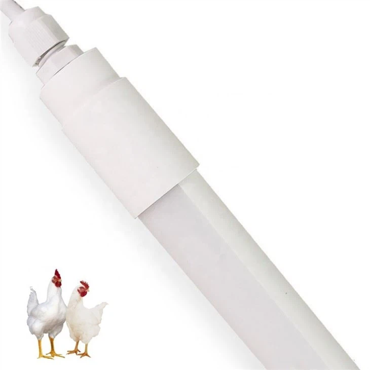 Flicker Free Poultry Led Lighting