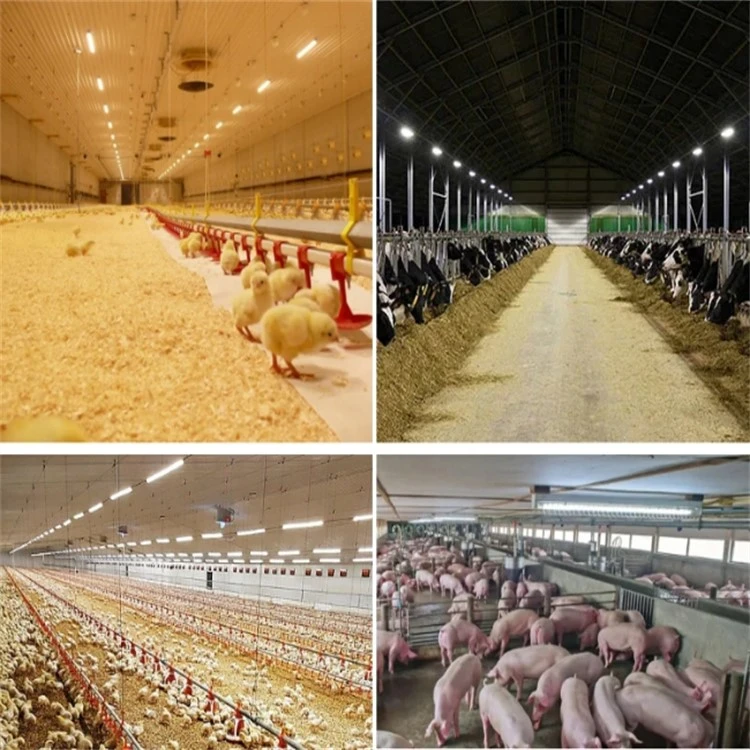 Cow led lamp 6 Cow led lamp 6