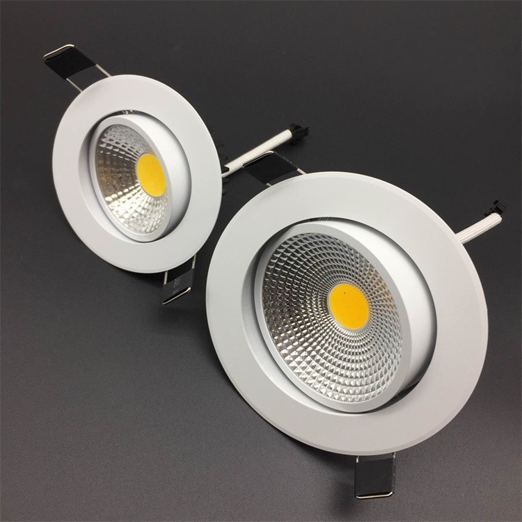 Living Room Directional Downlight 2