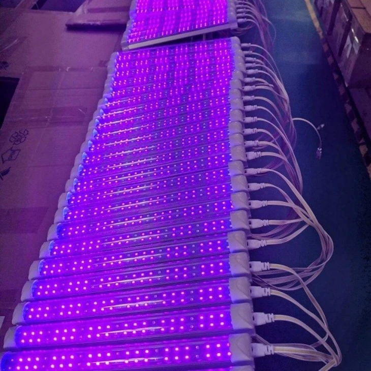 Integrated LED T8 UV Black Lights price