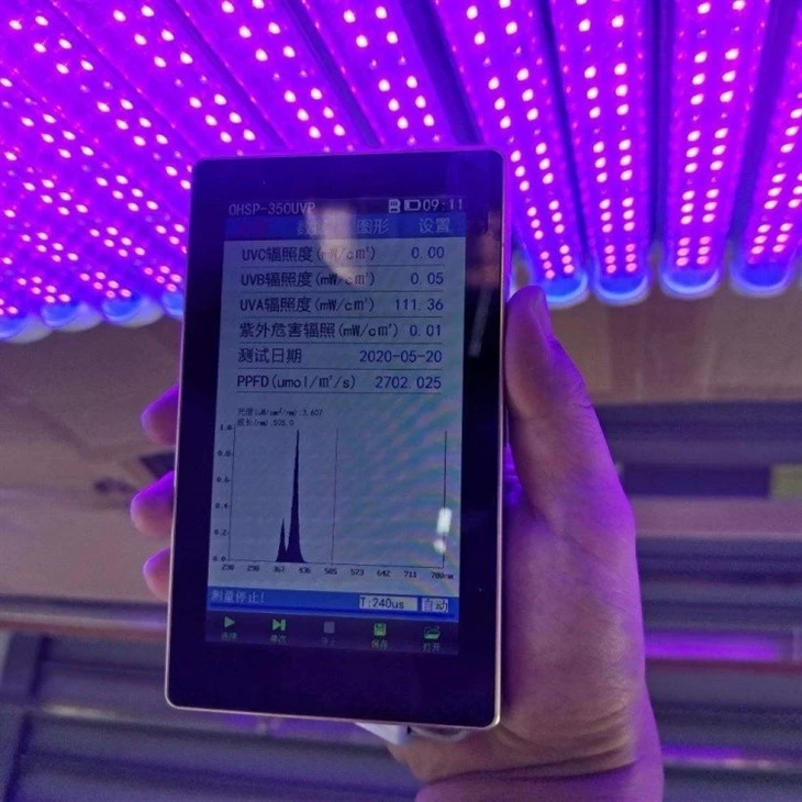 Integrated LED T8 UV Black Lights price