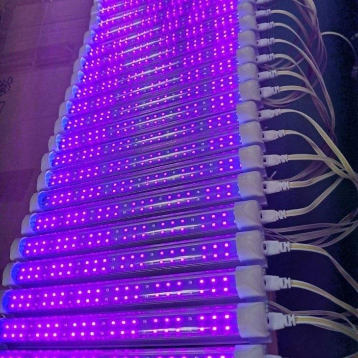 Integrated LED T8 UV Black Lights best