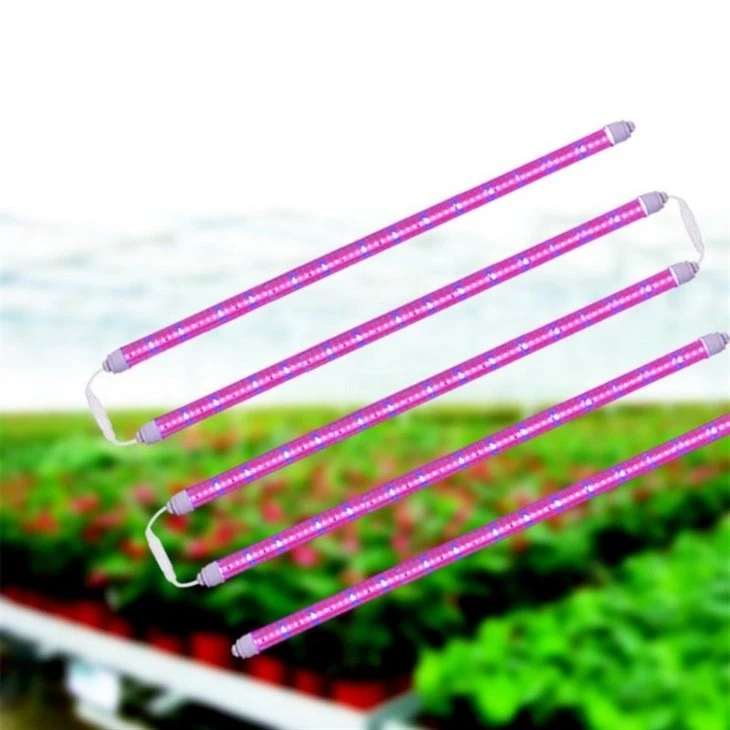 IP67 Waterproof T8 Plant Grow Ligh price