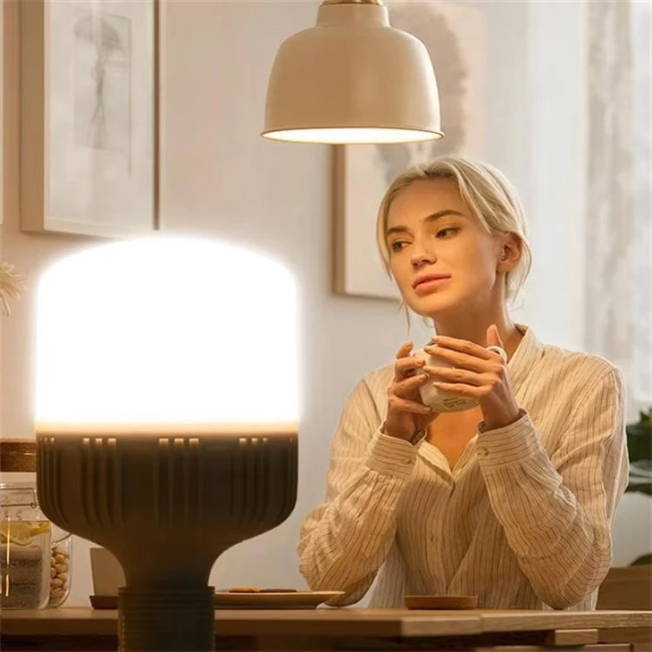 Led Bulb High Brightness T Shape Rechargeable Led Bulb suppliers