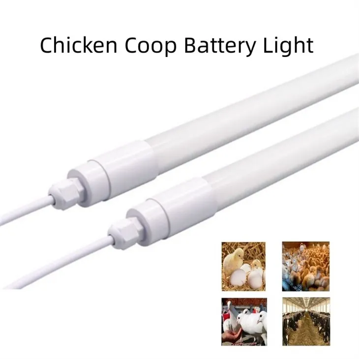 chicken coop battery light -