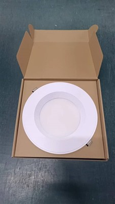 אנו שולחים 1200 יחידות LED Downlight ללקוח צ'ילה היום