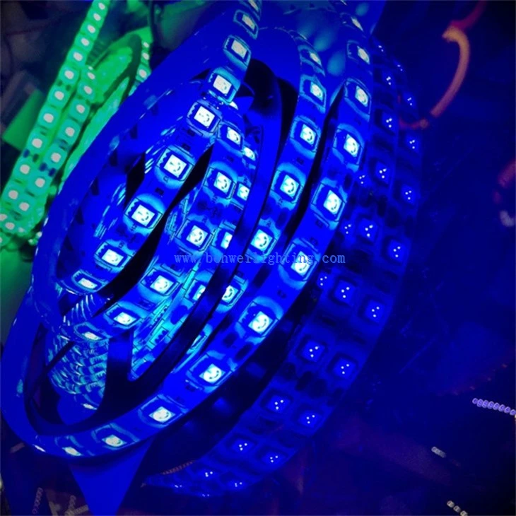 RGBW LED Strip Light (1)