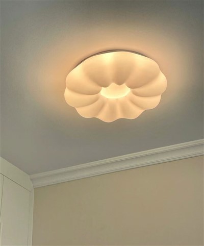 אורות תקרה 40w