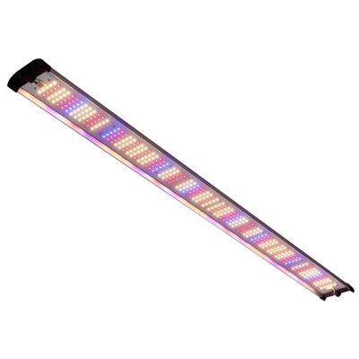 אורות LED אדומים וכחולים לגידול