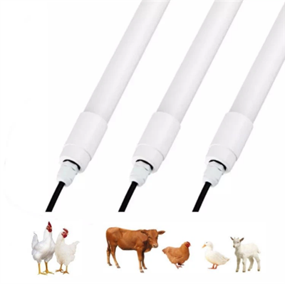 צינור LED עמיד למים המשמש לבית חוות עופות