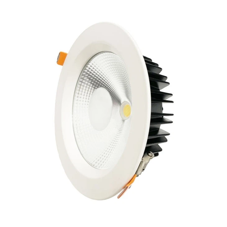 Smart Light Downlight